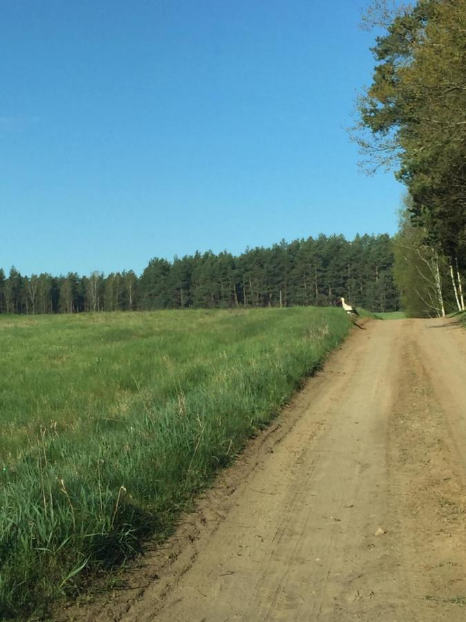 Вилла Domek Lesne Zacisze Гетшвалд Экстерьер фото